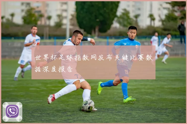 世界杯足球指数网发布关键比赛数据深度报告