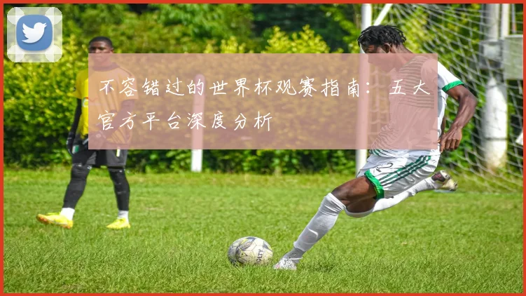 不容错过的世界杯观赛指南:五大官方平台深度分析