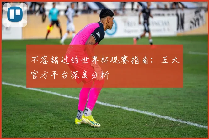 不容错过的世界杯观赛指南：五大官方平台深度分析