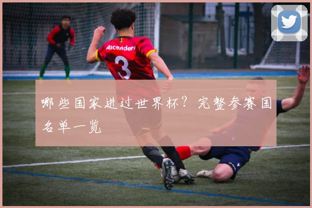 哪些国家进过世界杯？完整参赛国名单一览