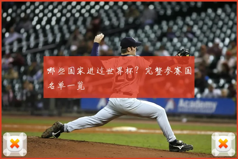 哪些国家进过世界杯？完整参赛国名单一览