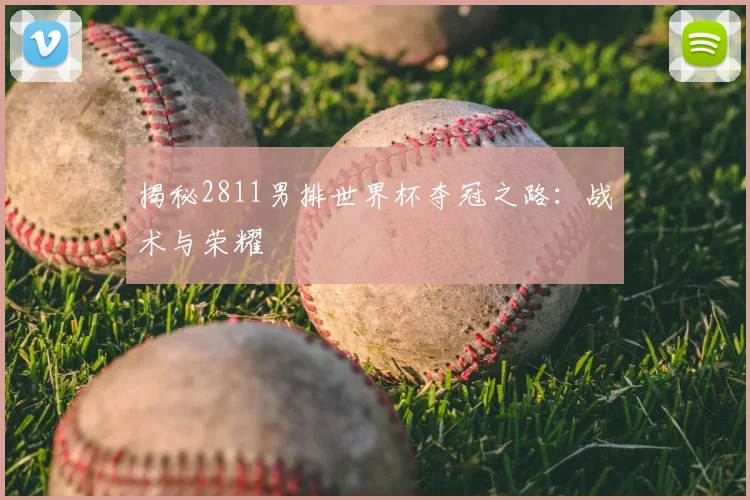 揭秘2811男排世界杯夺冠之路:战术与荣耀