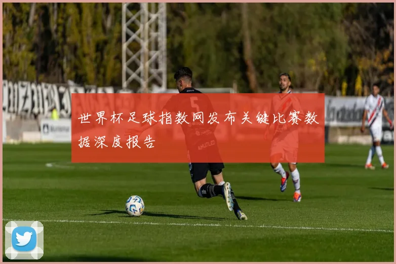 世界杯足球指数网发布关键比赛数据深度报告
