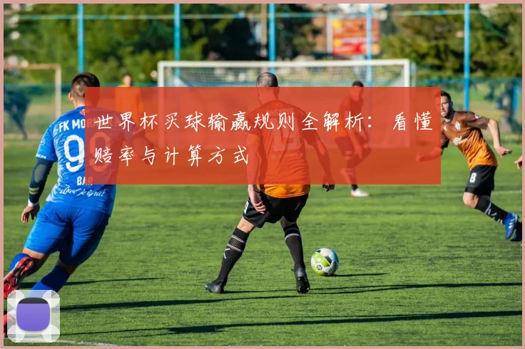 世界杯买球输赢规则全解析：看懂赔率与计算方式